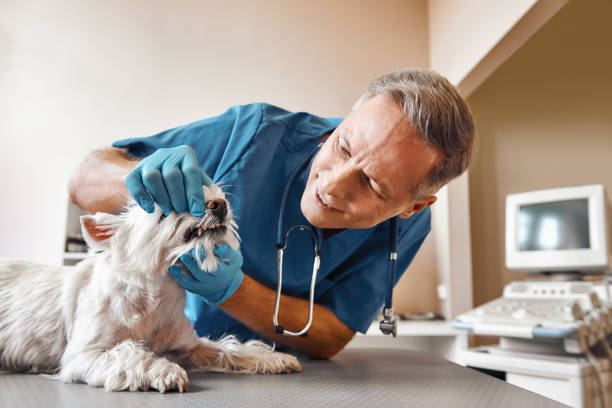 Best Emergency Wisdom Teeth Removal in Spencer, OK